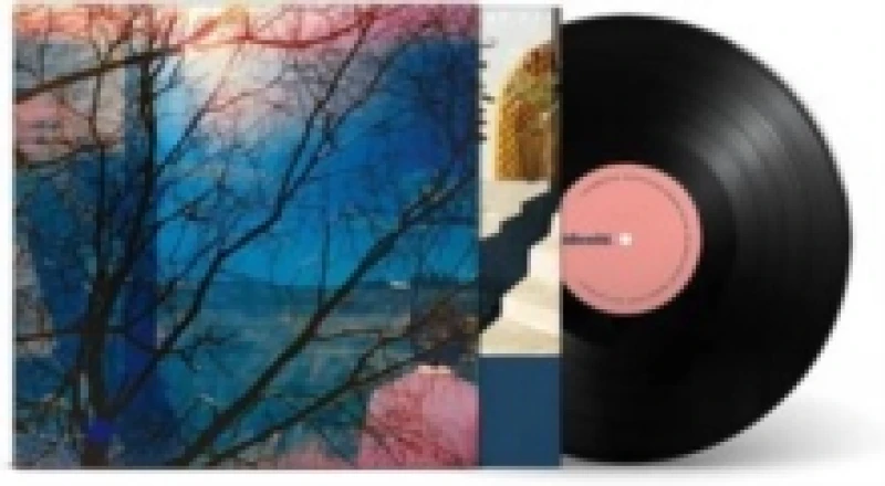Image of Idlewild Vinyl