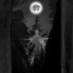 Image of Amidst the Trees by Taatsi CD Album