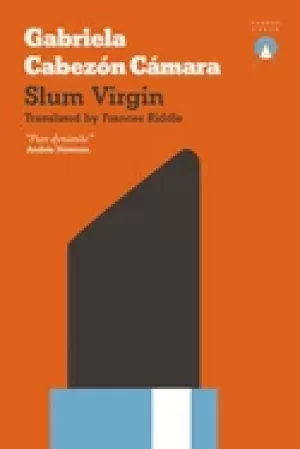 Image of slum virgin
