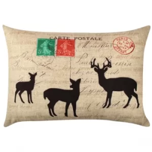 Image of A50933 Multicolor Cushion