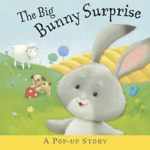 Image of The Big Bunny Surprise by Liza Miller Hardback