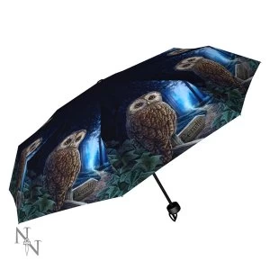 Image of Way of the Witch Umbrella