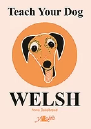 Image of teach your dog welsh