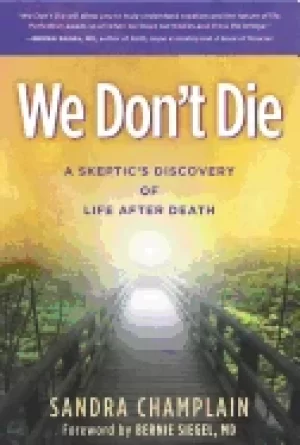 Image of we dont die a skeptics discovery of life after death