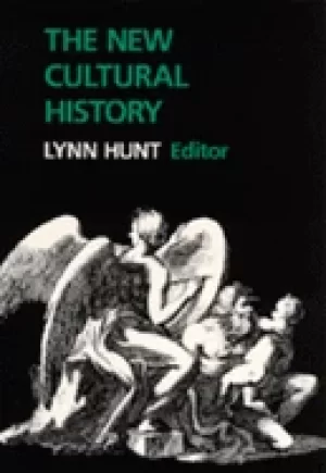 Image of new cultural history essays