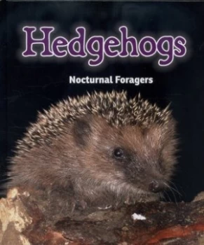 Image of Hedgehogs by Rebecca Rissman Hardback