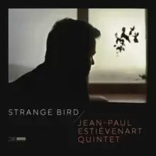 Image of Strange Bird