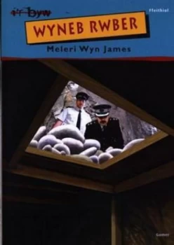 Image of Wyneb Rwber by Meleri Wyn James Book