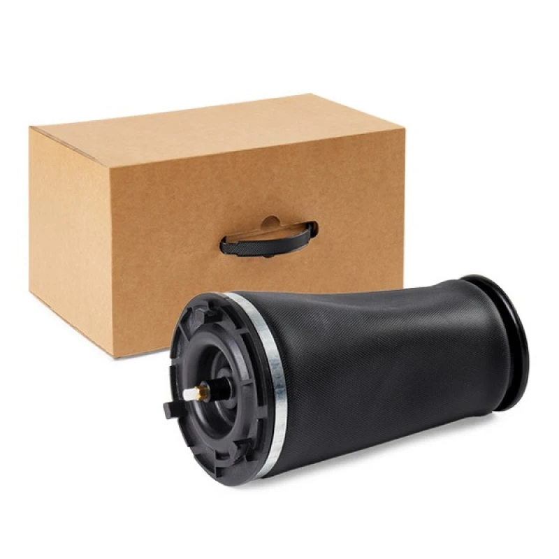 Image of RIDEX 4119A0094 Air Spring, suspension Rear Air Spring,suspension (4119)