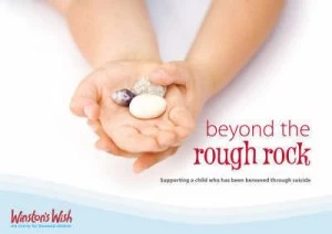 Image of Beyond the Rough Rock by Di Stubbs Paperback