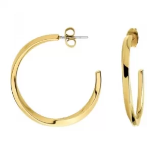 Image of Ladies Exclusive Earrings