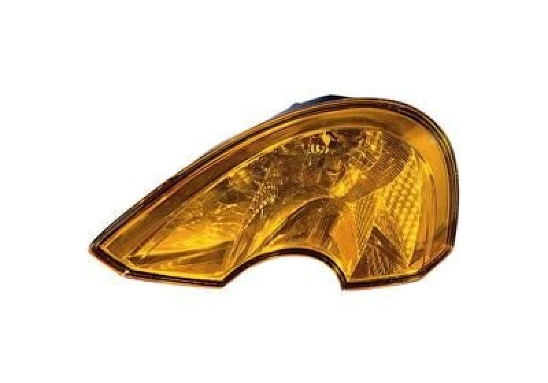 Image of VAN WEZEL Side indicator VAN WEZEL 4366903