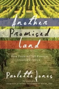 Image of Another Promised Land by Paulette Jones