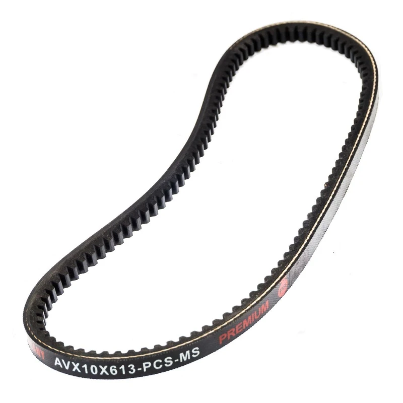 Image of MASTER-SPORT V-Belt MASTER-SPORT AVX-10X613-PCS-MS