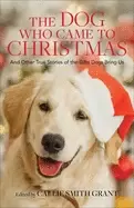 Image of dog who came to christmas
