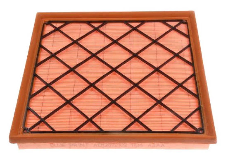Image of Blue PRINT ADG022102 Air filter Filter Insert Air Filter (8)