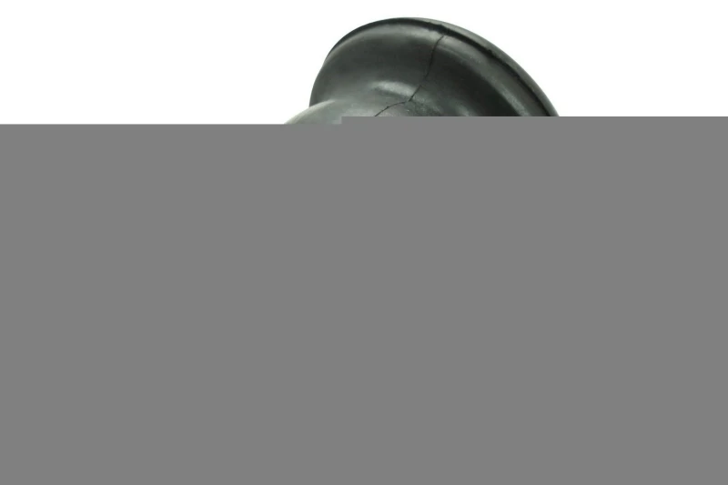 Image of SPIDAN CHASSIS PARTS Anti roll bar bush SPIDAN CHASSIS PARTS 412211