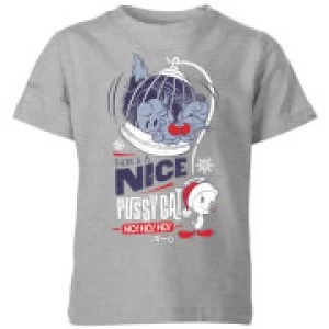 Image of Looney Tunes Tweety Pie Pussy Cat Kids Christmas T-Shirt - Grey - 11-12 Years