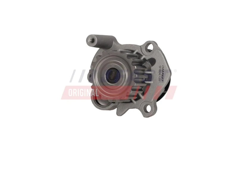 Image of FAST FT04462 Water pump Number of Teeth: 19, with seal ring, with gasket/seal Water Pump (1260)