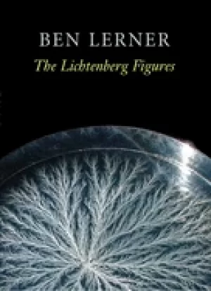 Image of lichtenberg figures