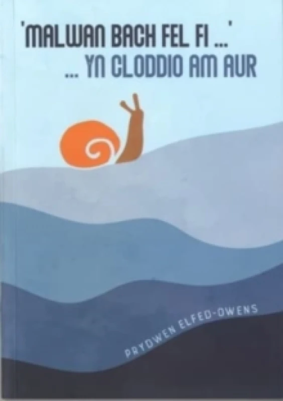 Image of Malwan Bach Fel Fi ... yn Cloddio am Aur Paperback / softback