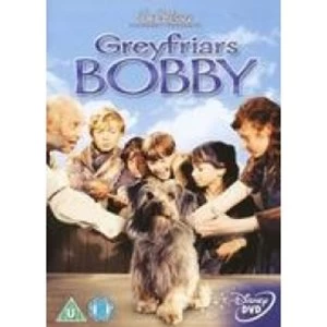 Image of Greyfriars Bobby