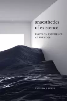 Image of Anaesthetics of Existence : Essays on Experience at the Edge