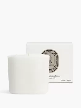 image of La Vallee du Temps (Valley of Time) - Candle Refill - Diptyque