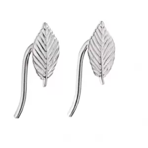 Image of Elements Silver Leaf Earrings E5687