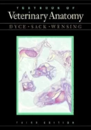 Image of textbook of veterinary anatomy 3rd edition