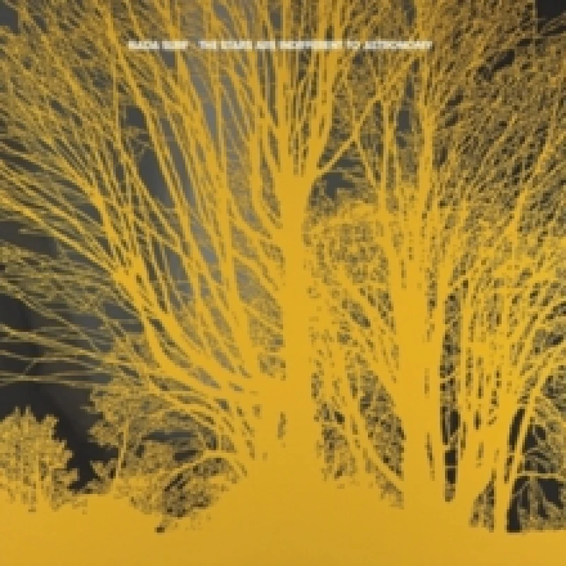Image of The Stars Are Indifferent to Astronomy Vinyl