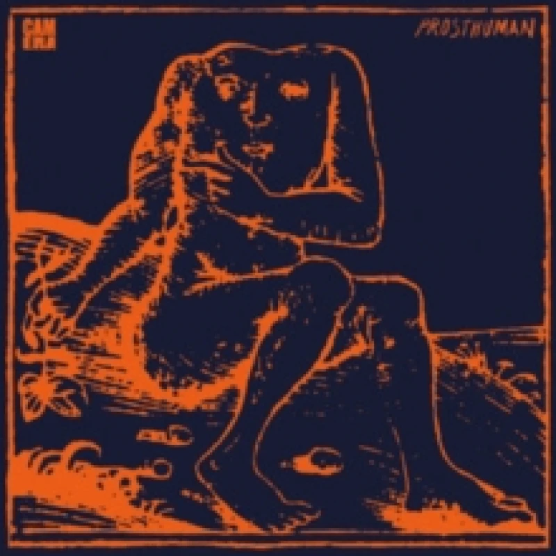 Image of Prosthuman Vinyl