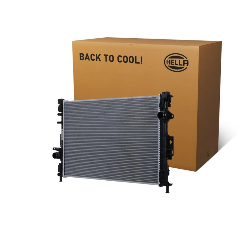Image of HELLA Engine radiator HELLA 8MK 366 302-431