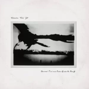Image of Classical Punk and Echoes Under the Beauty by Takaakira "Taka" Goto CD Album