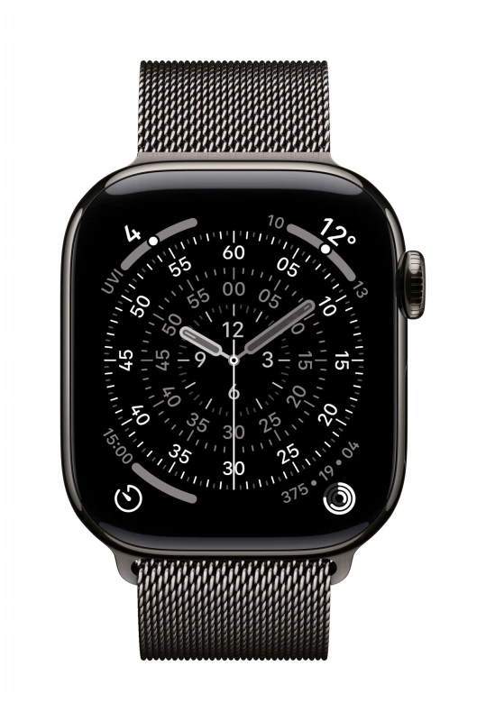 Image of Apple MGJ14ZM/A Smart Wearable Accessories Band Slate colour Stainless steel MGJ14ZM/A