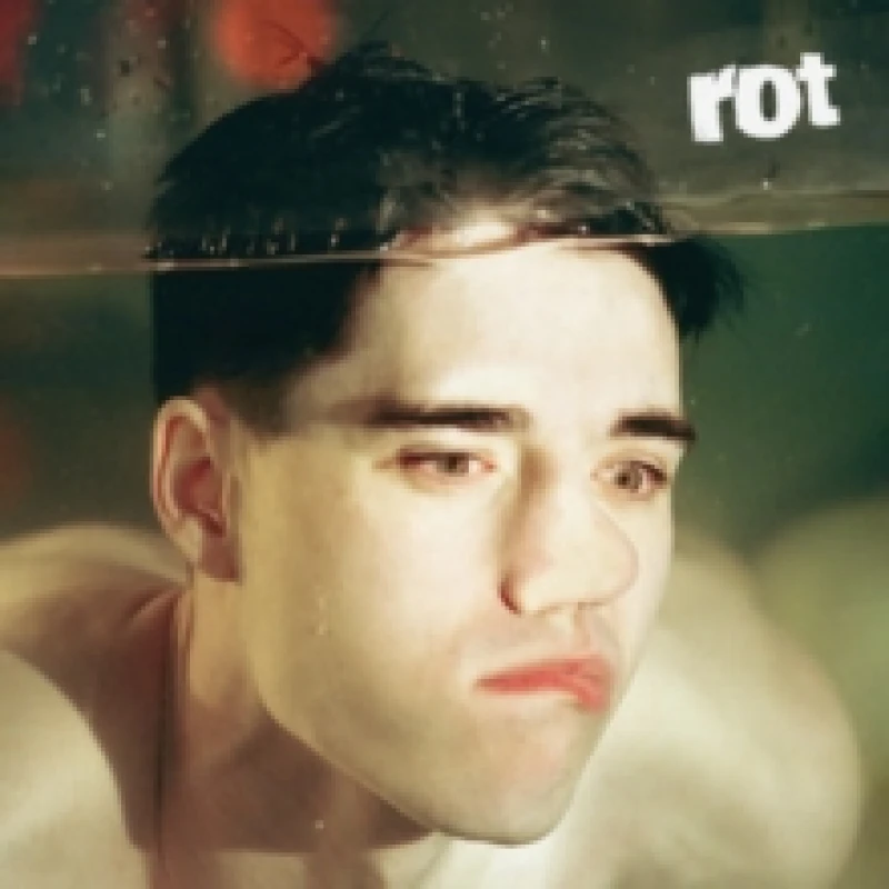 Image of Rot Vinyl