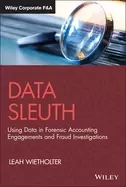 Image of data sleuth using data in forensic accounting engagements and fraud investi