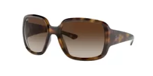 Ray-Ban Sunglasses RB4347 Powderhorn 710/13