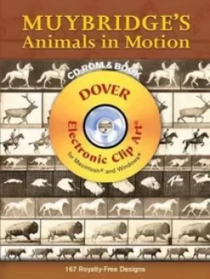 Image of Muybridges animals in motion by Eadweard Muybridge