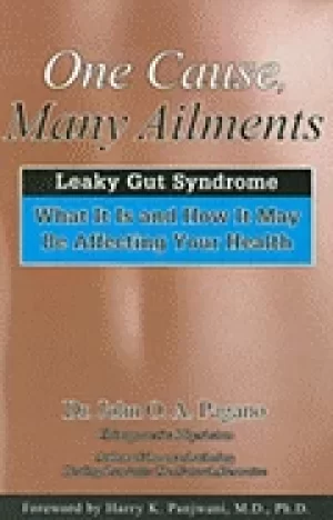 Image of one cause many ailments leaky gut syndrome what it is and how it may be aff