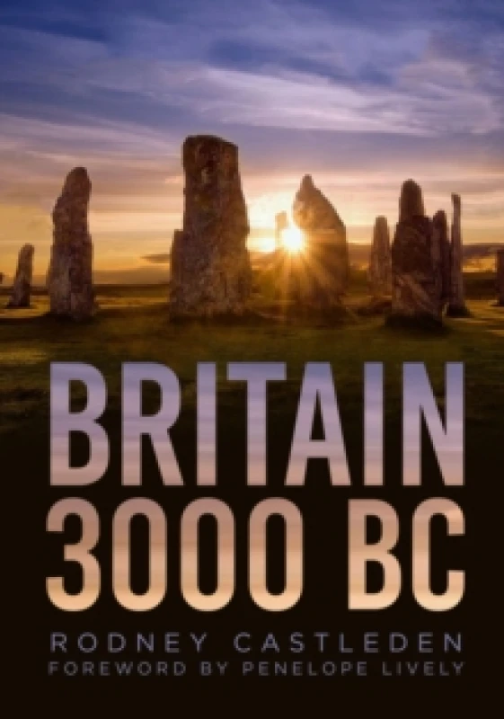 Image of Britain 3000 BC Paperback / softback