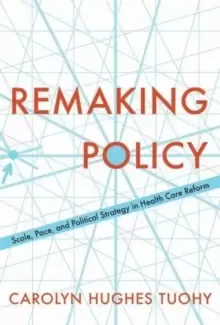 Image of Remaking Policy : Scale, Pace, and Political Strategy in Health Care Reform