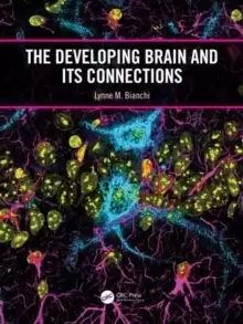 Image of The Developing Brain and its Connections