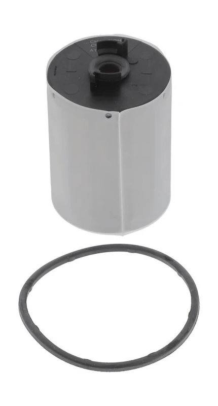 Image of Fuel filter CHAMPION CFF100747