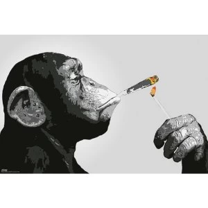 Image of Steez Smoking Maxi Poster