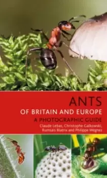 Image of Ants of Britain and Europe