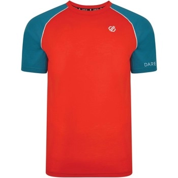 Image of Dare 2B Institute Wool T-Shirt - XS - red