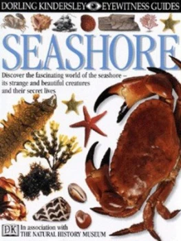 Image of Seashore by Steve Parker and England Natural History Museum Hardback