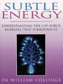 Image of Subtle Energy by Dr. William Collinge Paperback