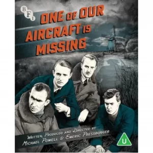 Image of One of Our Aircraft is Missing